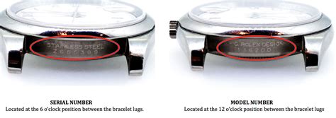 rolex case marked 16|Rolex watch reference numbers.